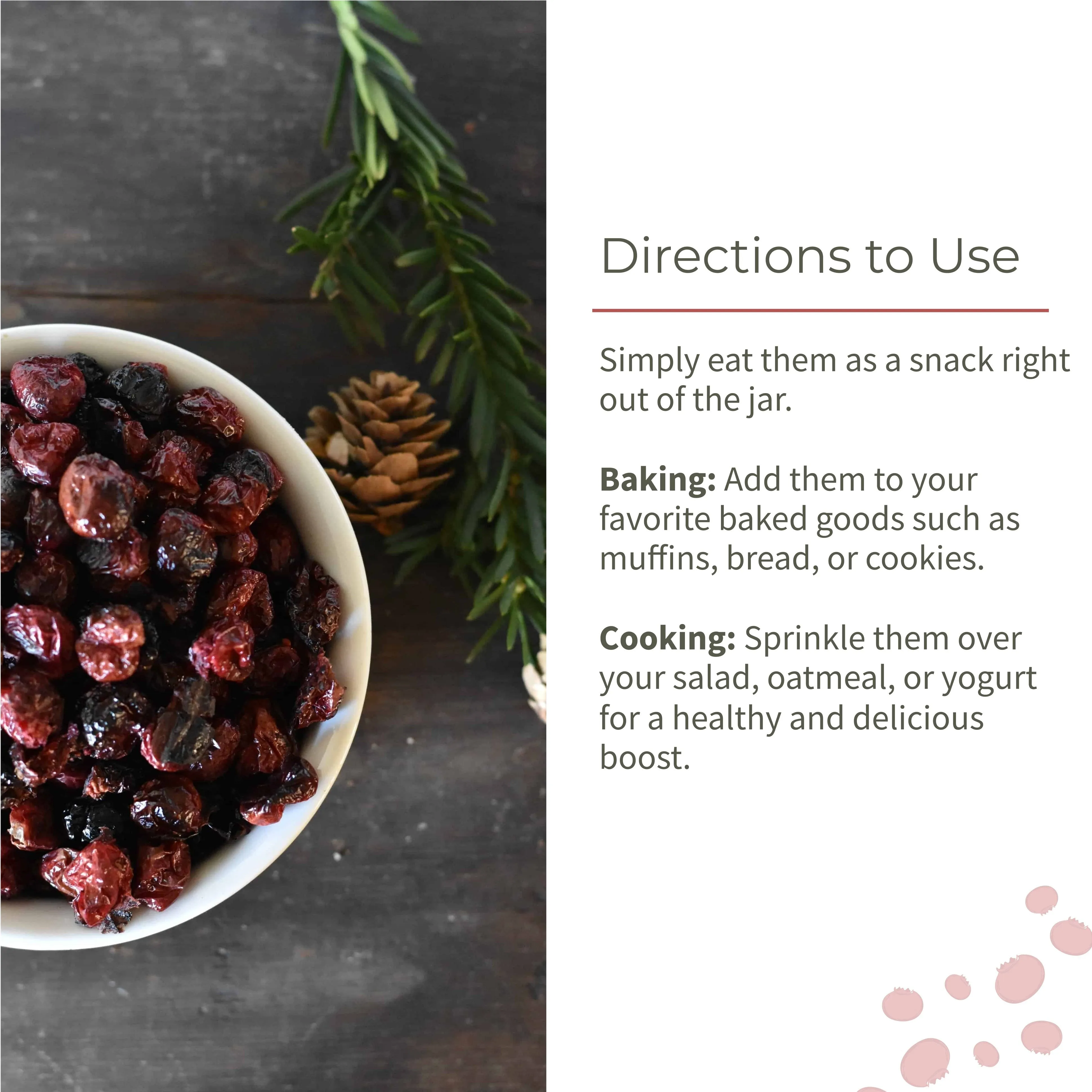 Dried Cranberries Seedless Dried Fruit Healthy Snack
