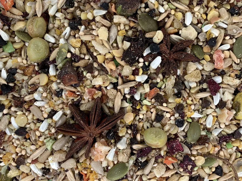 Higgins Versele-Laga Goldenfeast South American Blend Bird Food for Conures & Cockatiels