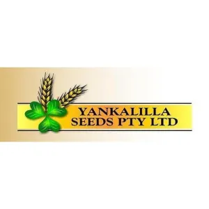 Holdfast Phalaris Seeds