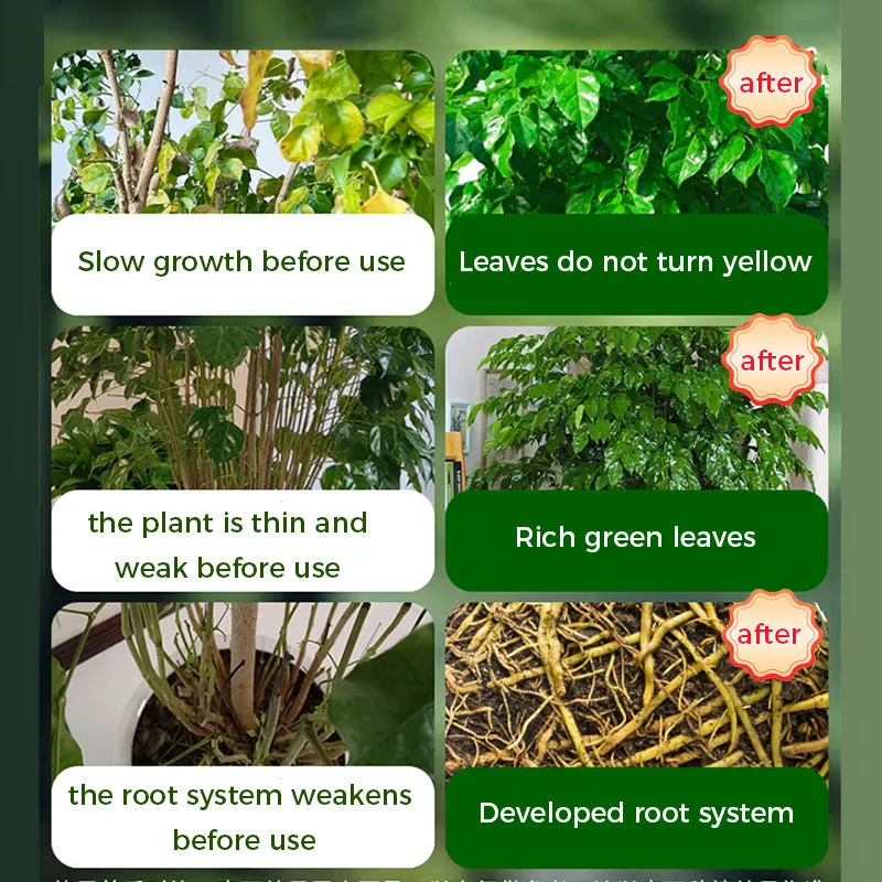 Rapid Rooting And Flowering Powder50% OFF