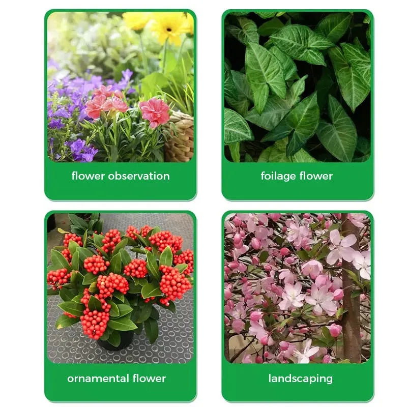 Rapid Rooting And Flowering Powder50% OFF