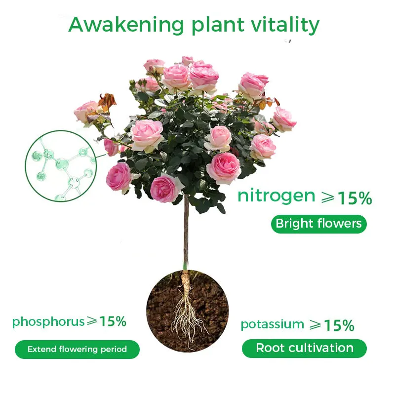Rapid Rooting And Flowering Powder50% OFF
