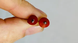 Seed Earrings. Sterling Silver Posts. 0340