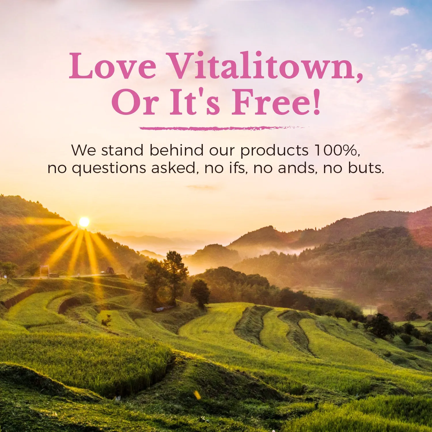 Women's Probiotics   VB6